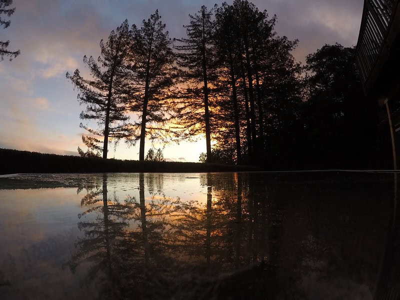 trees reflecting on water at year end
