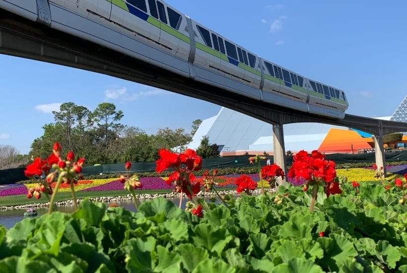 What should you do On your first day at Disney World? Take some time to enjoy these enjoyable and relaxing must-do experiences.