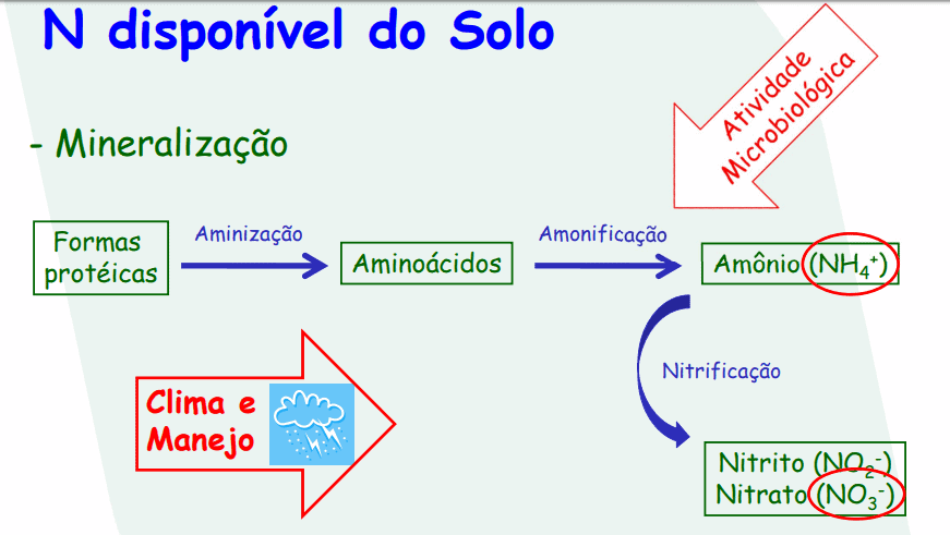 fertilizantes organicos
