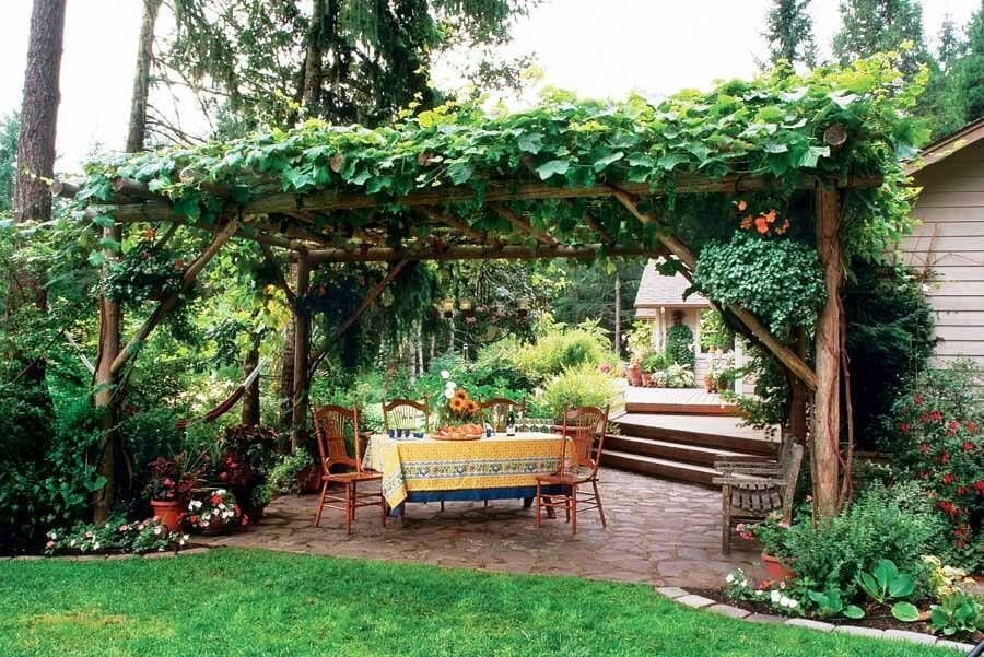 SUN SHADE FOR PATIO IDEAS WITH VINES