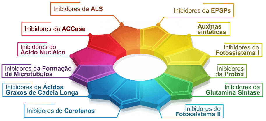 Rotação de mecanismo de ação