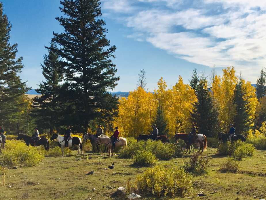 Group Trail riding