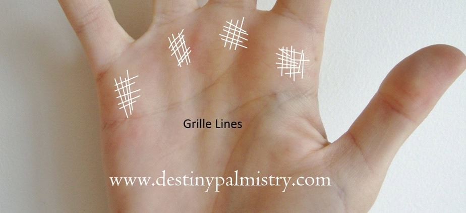 Grille Marks On The Palm Meanings Destiny Palmistry