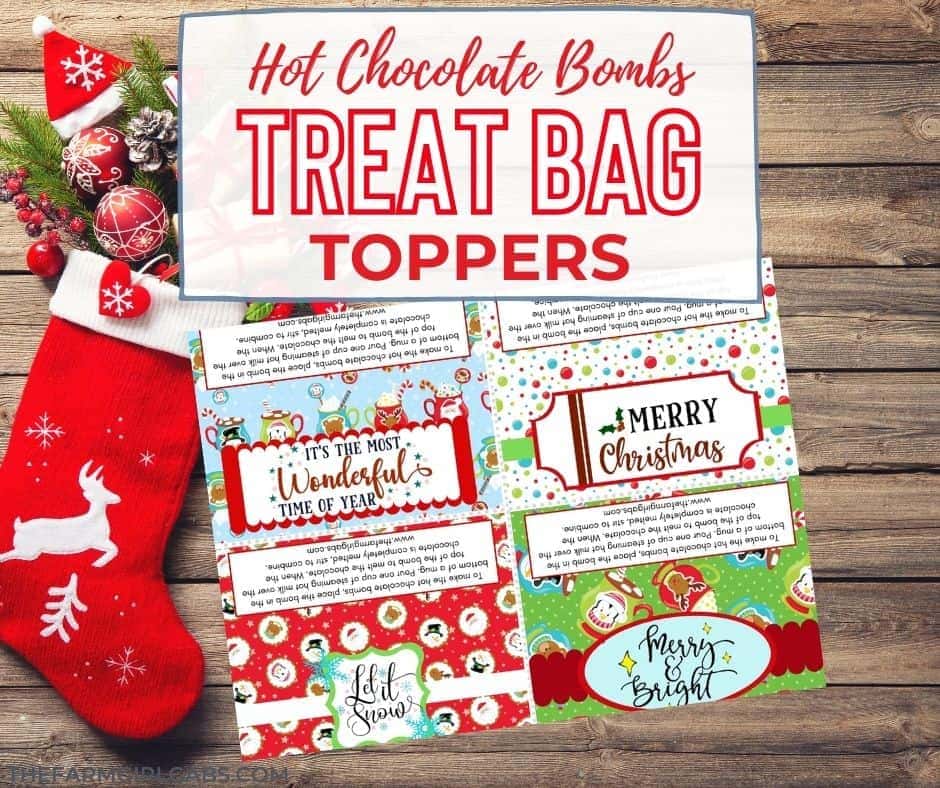 Give these Hot Chocolate Bombs as a gift. Download these treat bag toppers here.