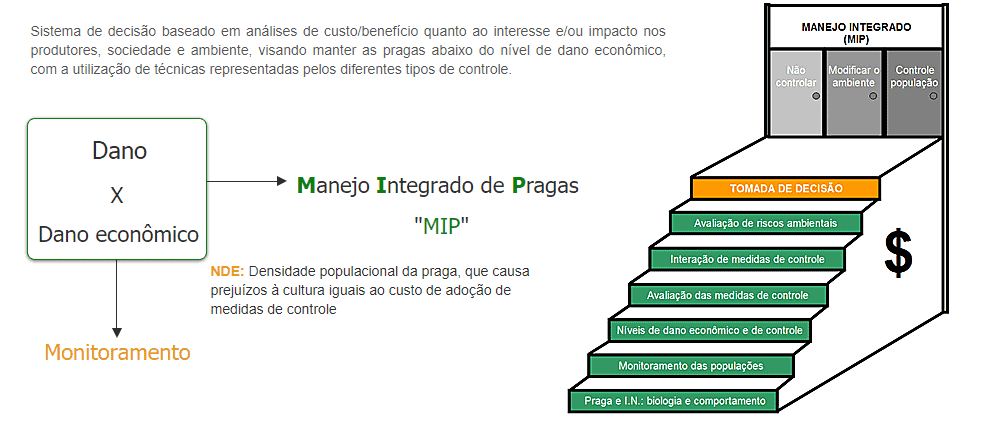 dano-economico-e -praticas