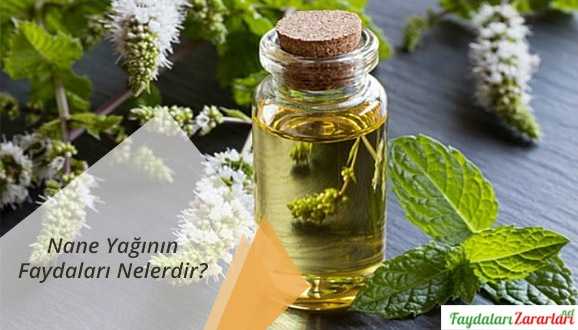 Nane Yağı Faydaları