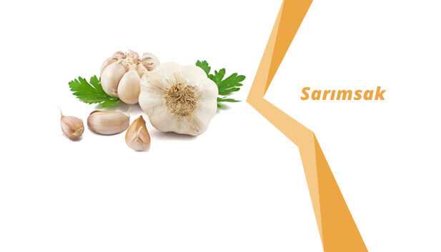 Sarımsağın Faydaları