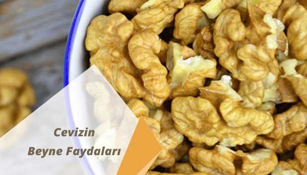 Cevizin Beyne Faydaları