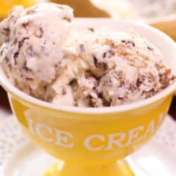 Butter Pecan Ice Cream Recipe No Machine Needed One Dish Kitchen
