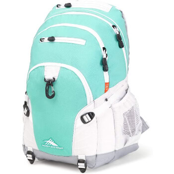 8. High Sierra Backpack