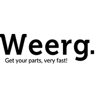 12 wasp