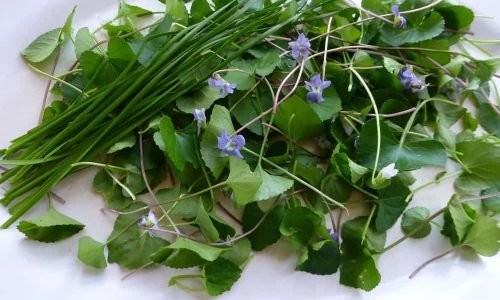 violet-and-meadow-garlic-pancakes-2 violet-and-meadow-garlic-pancakes-2