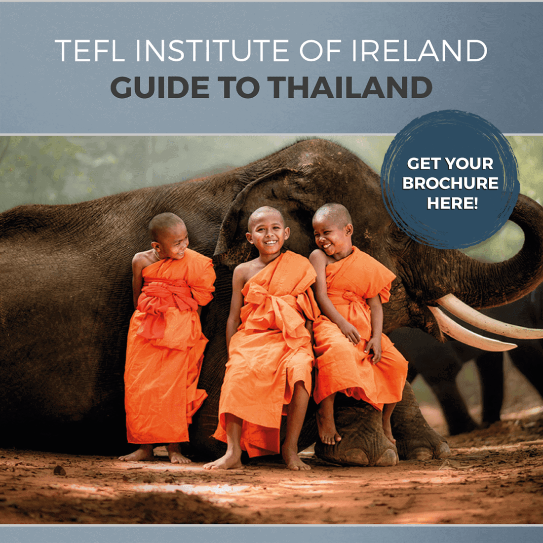 Image for Teach English in Thailand. Thai cuisine is hot, bursting with flavour and utterly addictive.