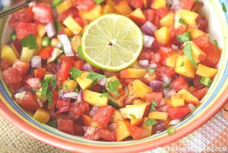 Spice up your summer with this tasty Peach Pico de Gallo recipe. Grab those fresh farmers market peaches and whip up a bowl to snack on. This peach salsa recipe is so easy to make.