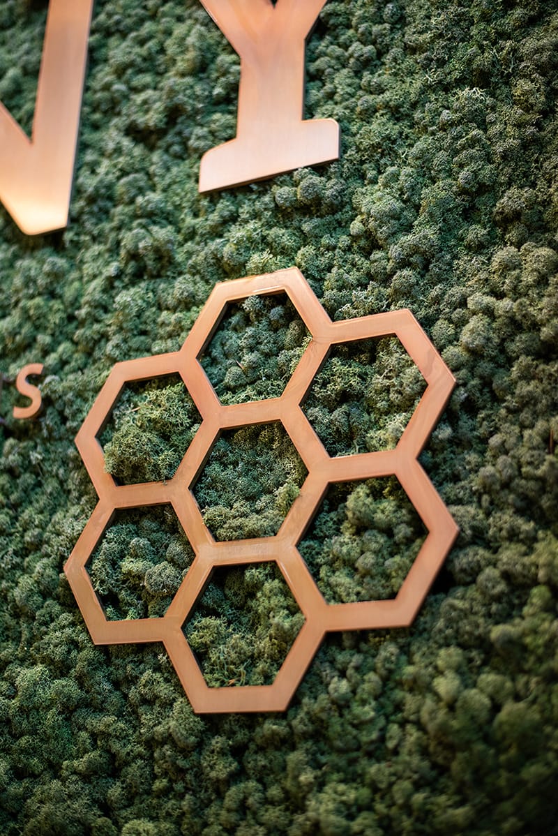 Legal Cannabis Stores in Toronto | The Hunny Pot Cannabis Co. Legal Cannabis Stores in Toronto | The Hunny Pot Cannabis Co.