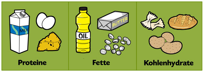 proteine-fette-kohlenhydrate