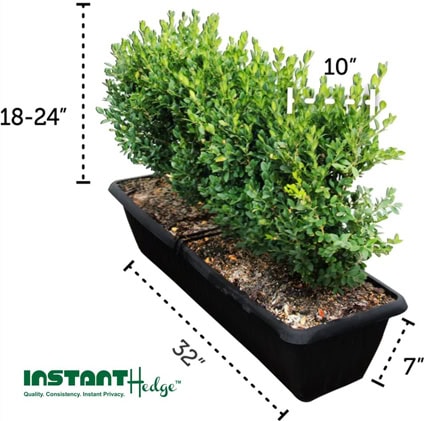 18” InstantHedge 18” InstantHedge