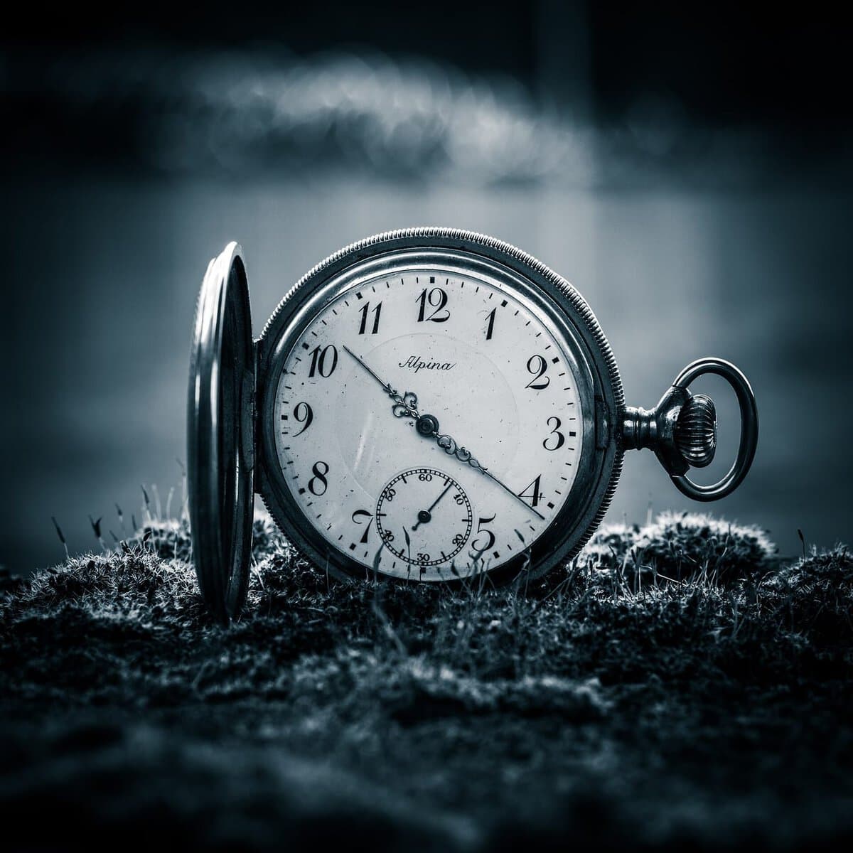 A pocket watch