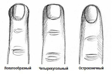 средний палец на руке это какой. %D0%BF%D0%B0%D0%BB%D1%8C%D1%86%D1%8B %D0%BD%D0%B0 %D1%80%D1%83%D0%BA%D0%B0%D1%85. средний палец на руке это какой фото. средний палец на руке это какой-%D0%BF%D0%B0%D0%BB%D1%8C%D1%86%D1%8B %D0%BD%D0%B0 %D1%80%D1%83%D0%BA%D0%B0%D1%85. картинка средний палец на руке это какой. картинка %D0%BF%D0%B0%D0%BB%D1%8C%D1%86%D1%8B %D0%BD%D0%B0 %D1%80%D1%83%D0%BA%D0%B0%D1%85