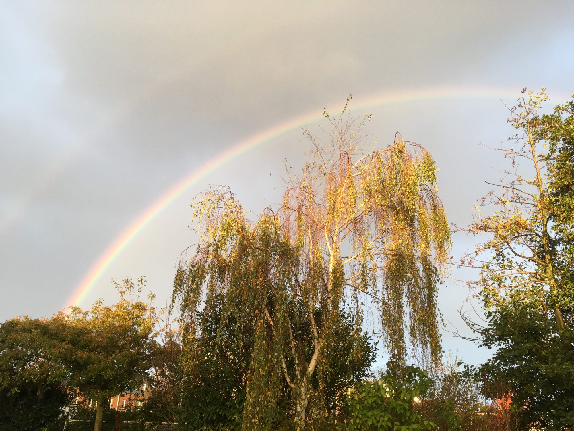 Dubbele regenboog, wat een mooi gezicht om dankbaar voor te zijn.
