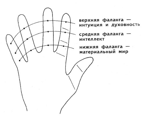 средний палец на руке это какой. %D0%BF%D0%B0%D0%BB%D1%8C%D1%86%D1%8B %D0%BD%D0%B0 %D1%80%D1%83%D0%BA%D0%B0%D1%85 %D0%B7%D0%BD%D0%B0%D1%87%D0%B5%D0%BD%D0%B8%D0%B5 1. средний палец на руке это какой фото. средний палец на руке это какой-%D0%BF%D0%B0%D0%BB%D1%8C%D1%86%D1%8B %D0%BD%D0%B0 %D1%80%D1%83%D0%BA%D0%B0%D1%85 %D0%B7%D0%BD%D0%B0%D1%87%D0%B5%D0%BD%D0%B8%D0%B5 1. картинка средний палец на руке это какой. картинка %D0%BF%D0%B0%D0%BB%D1%8C%D1%86%D1%8B %D0%BD%D0%B0 %D1%80%D1%83%D0%BA%D0%B0%D1%85 %D0%B7%D0%BD%D0%B0%D1%87%D0%B5%D0%BD%D0%B8%D0%B5 1