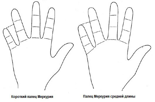 средний палец на руке это какой. %D0%BF%D0%B0%D0%BB%D0%B5%D1%86 %D0%BC%D0%B5%D1%80%D0%BA%D1%83%D1%80%D0%B8%D1%8F. средний палец на руке это какой фото. средний палец на руке это какой-%D0%BF%D0%B0%D0%BB%D0%B5%D1%86 %D0%BC%D0%B5%D1%80%D0%BA%D1%83%D1%80%D0%B8%D1%8F. картинка средний палец на руке это какой. картинка %D0%BF%D0%B0%D0%BB%D0%B5%D1%86 %D0%BC%D0%B5%D1%80%D0%BA%D1%83%D1%80%D0%B8%D1%8F