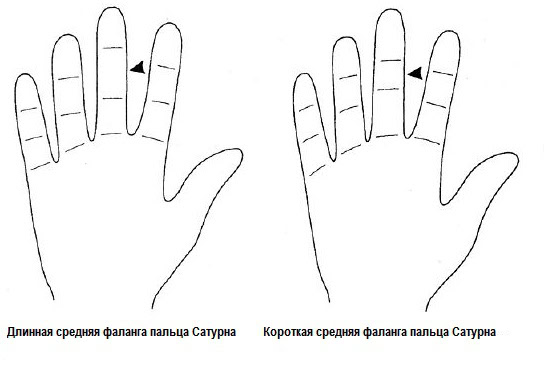средний палец на руке это какой. %D0%BF%D0%B0%D0%BB%D1%8C%D1%86%D1%8B %D0%BD%D0%B0 %D1%80%D1%83%D0%BA%D0%B0%D1%85 %D0%B7%D0%BD%D0%B0%D1%87%D0%B5%D0%BD%D0%B8%D0%B5 %D1%84%D0%B0%D0%BB%D0%B0%D0%BD%D0%B3%D0%B8. средний палец на руке это какой фото. средний палец на руке это какой-%D0%BF%D0%B0%D0%BB%D1%8C%D1%86%D1%8B %D0%BD%D0%B0 %D1%80%D1%83%D0%BA%D0%B0%D1%85 %D0%B7%D0%BD%D0%B0%D1%87%D0%B5%D0%BD%D0%B8%D0%B5 %D1%84%D0%B0%D0%BB%D0%B0%D0%BD%D0%B3%D0%B8. картинка средний палец на руке это какой. картинка %D0%BF%D0%B0%D0%BB%D1%8C%D1%86%D1%8B %D0%BD%D0%B0 %D1%80%D1%83%D0%BA%D0%B0%D1%85 %D0%B7%D0%BD%D0%B0%D1%87%D0%B5%D0%BD%D0%B8%D0%B5 %D1%84%D0%B0%D0%BB%D0%B0%D0%BD%D0%B3%D0%B8