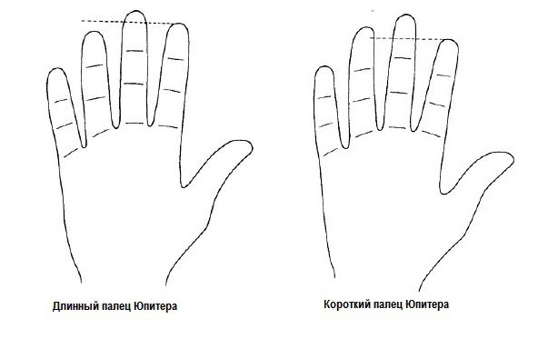 средний палец на руке это какой. %D0%BF%D0%B0%D0%BB%D0%B5%D1%86 %D1%8E%D0%BF%D0%B8%D1%82%D0%B5%D1%80%D0%B0. средний палец на руке это какой фото. средний палец на руке это какой-%D0%BF%D0%B0%D0%BB%D0%B5%D1%86 %D1%8E%D0%BF%D0%B8%D1%82%D0%B5%D1%80%D0%B0. картинка средний палец на руке это какой. картинка %D0%BF%D0%B0%D0%BB%D0%B5%D1%86 %D1%8E%D0%BF%D0%B8%D1%82%D0%B5%D1%80%D0%B0