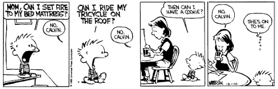 Calvin & Hobbes 3