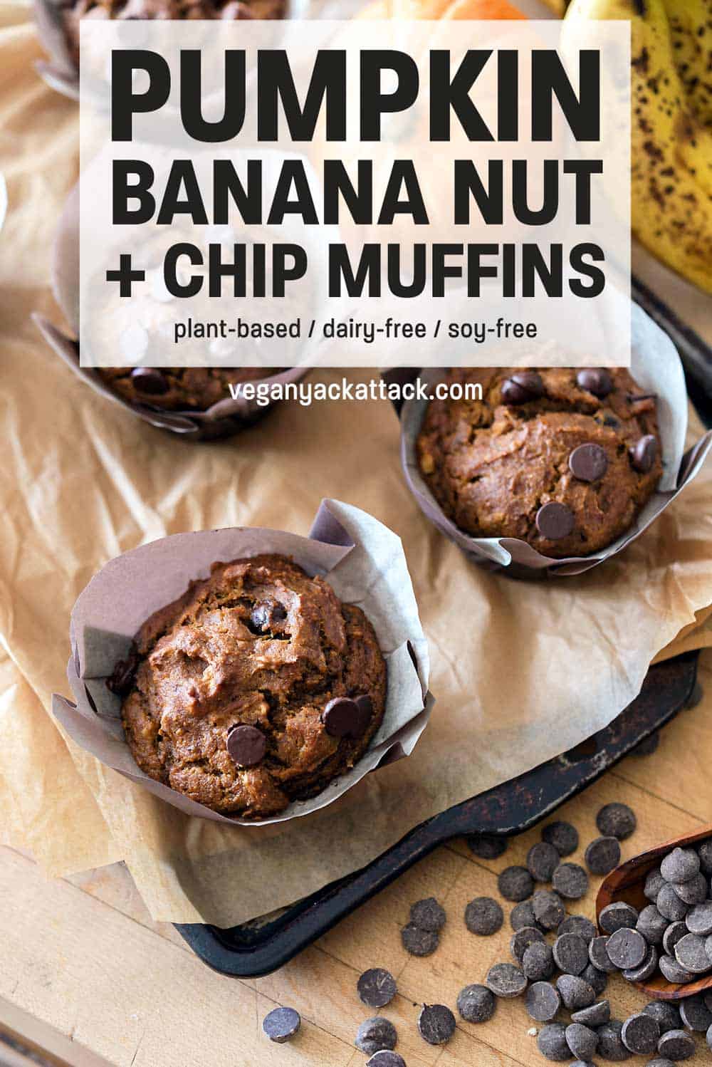 Top-down picture of Pumpkin Banana Nut Muffins with Chocolate Chips in large paper liners on a parchment-line baking sheet