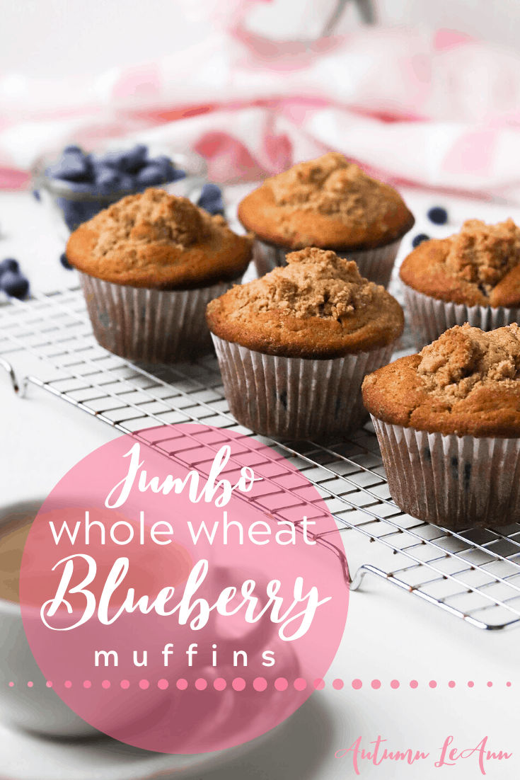 blueberrymuffinpin3