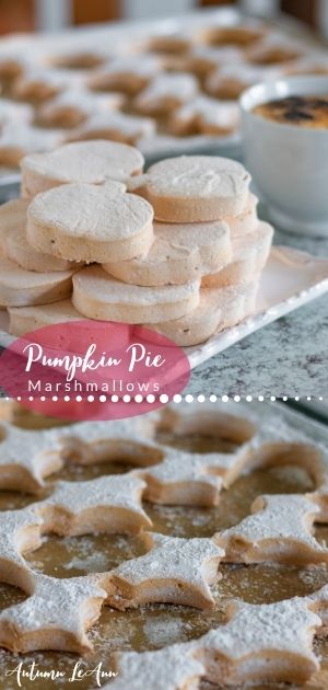 pumpkin pie marshmallows longpin1