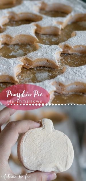 pumpkin pie marshmallows longpin2