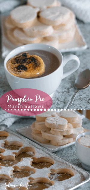 pumpkin pie marshmallows longpin3