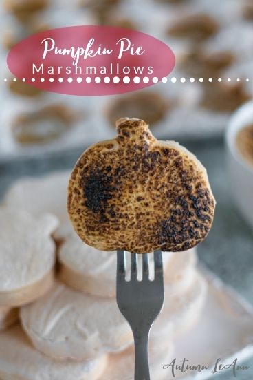 pumpkinpiemarshmallowpi3