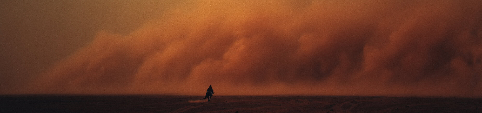 Surrender Vol. 2