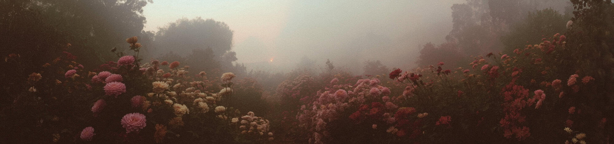 VESPERA: Analog Lab Vol.IV