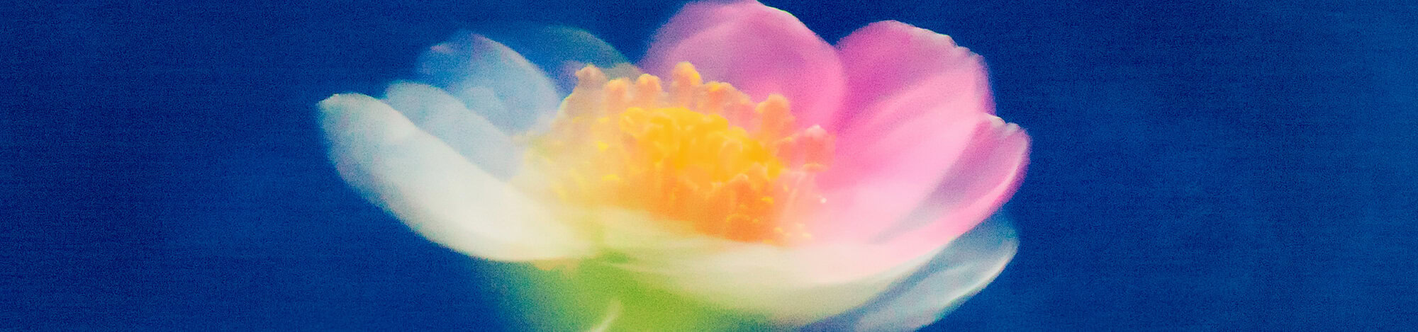 MELODIC MOTION VOL.3