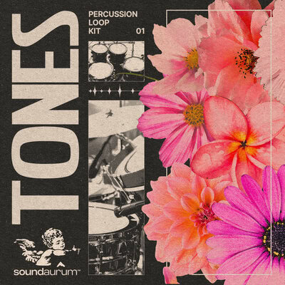 Artwork for Soundaurum -  Tones