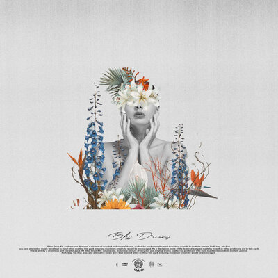 Artwork for Bliss Drums