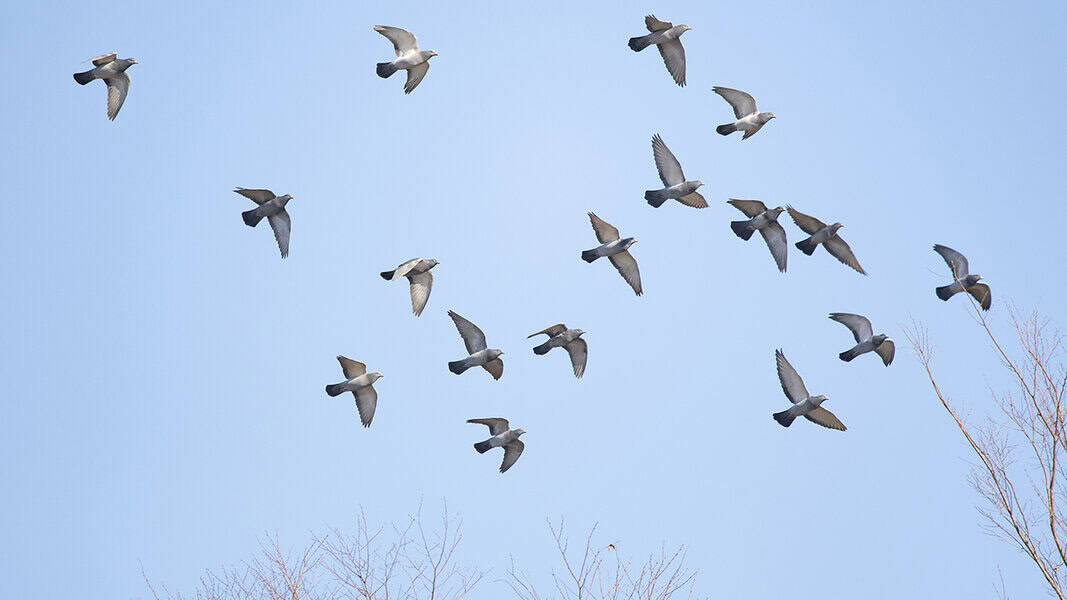 気になるcm セノビック ダンサーやロケ地を紹介 Mother S Select