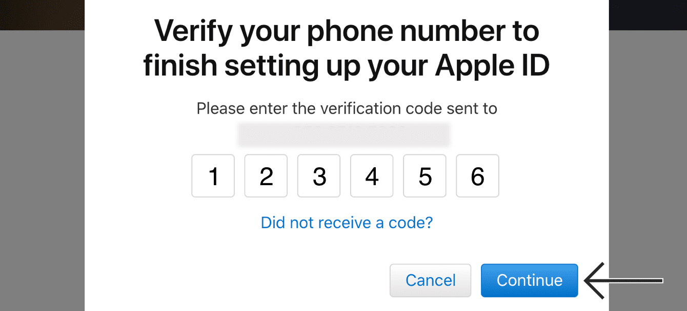 Click "Continue."