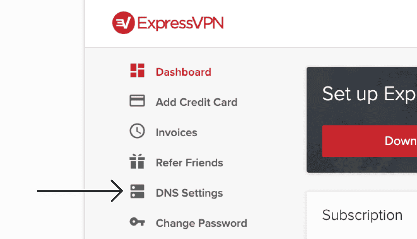 Select "DNS Settings." 