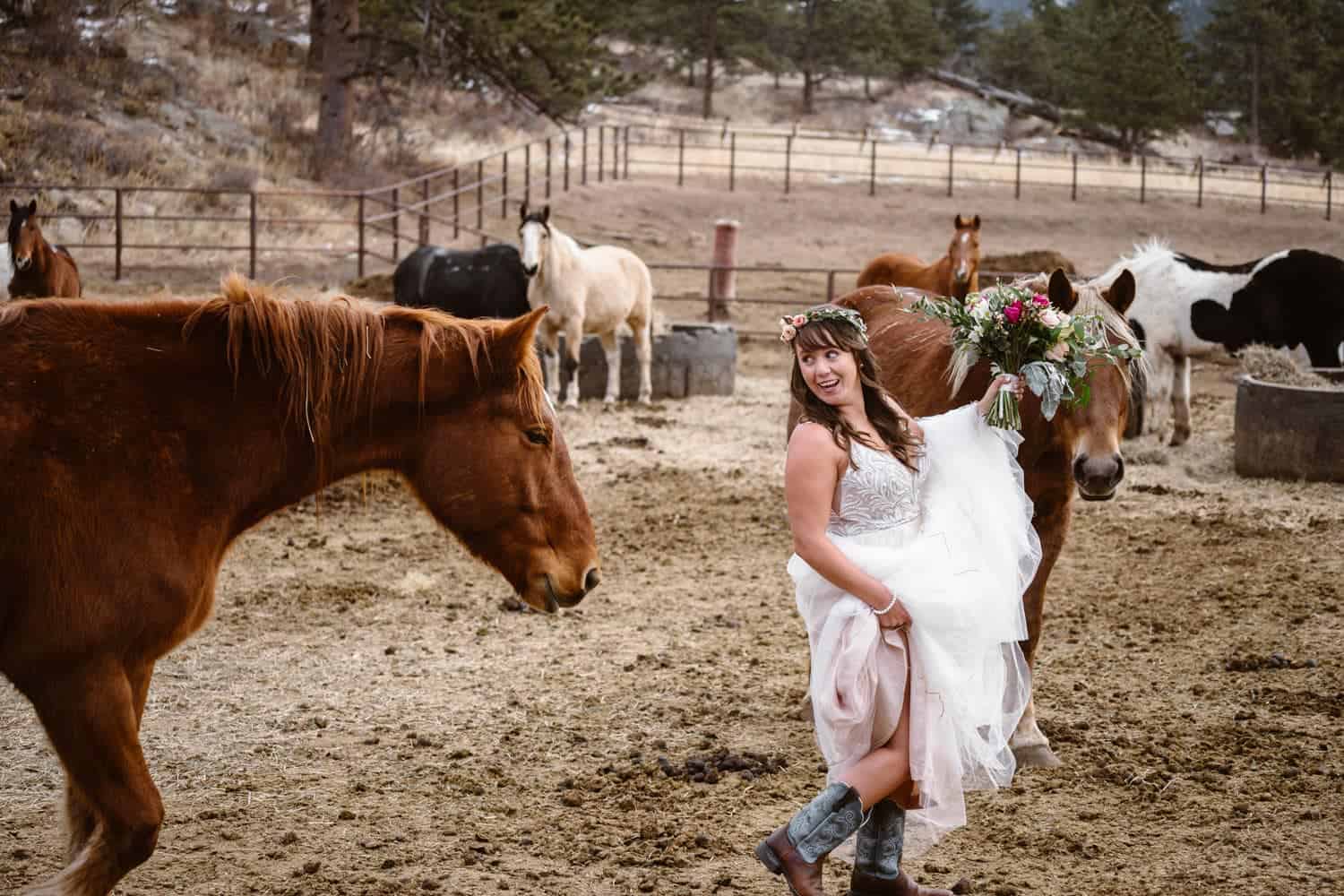 3m Curve Elopement Bride With Horses at Estes Park