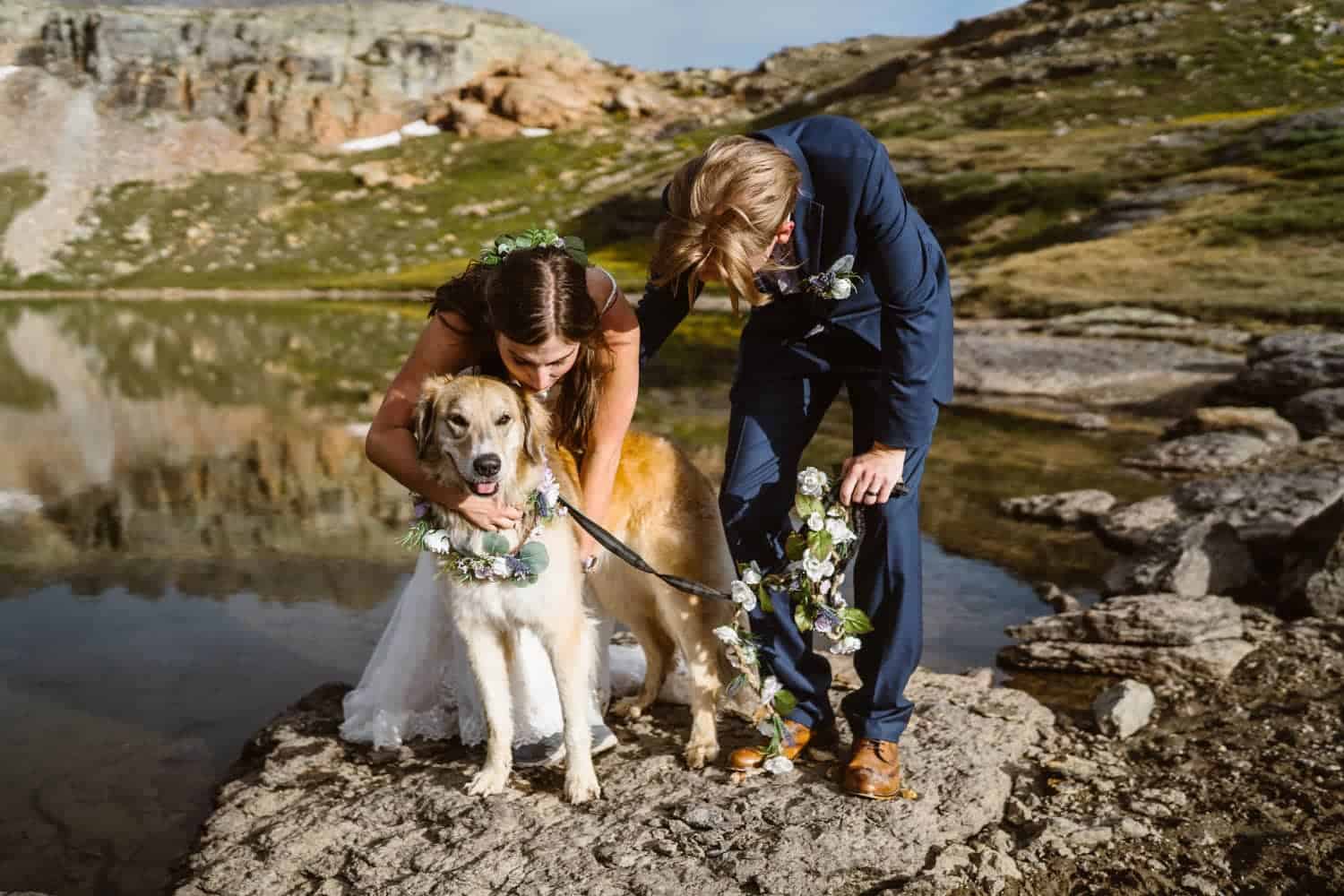 Bride and Groom With Dog Ouray Colorado Elopement
