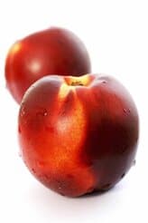 pêche