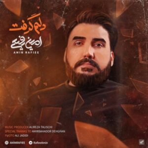 دانلود آهنگ جدید امین رفیعی به نام دلم گرفت