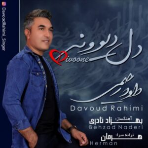 دانلود آهنگ جدید داود رحیمی به نام دل دیوونه