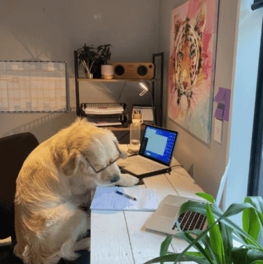 From Santisers to Systems: NZ Law Firms Gear Up For the Lockdown . . And Provide a Galaxy of COVID-19 Resources 6 From Santisers to Systems: NZ Law Firms Gear Up For the Lockdown . . And Provide a Galaxy of COVID-19 Resources 6