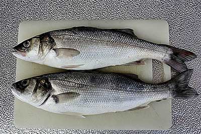 photo of a pair of sea bass on a silver board: best fish and seafood on a keto diet.